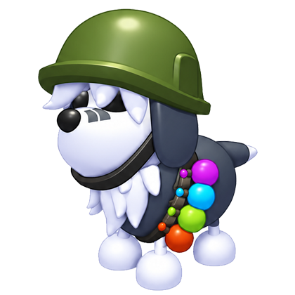 Adopt MeGeneral Sheepdog