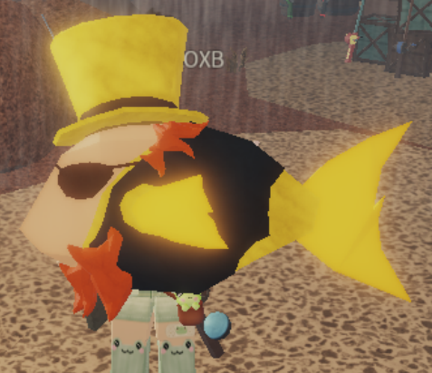 Fisch Sunny O'Coin