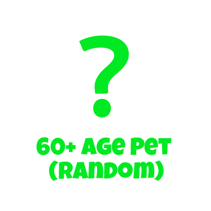 Grow a Garden Items 60+ Age Pet (Random)